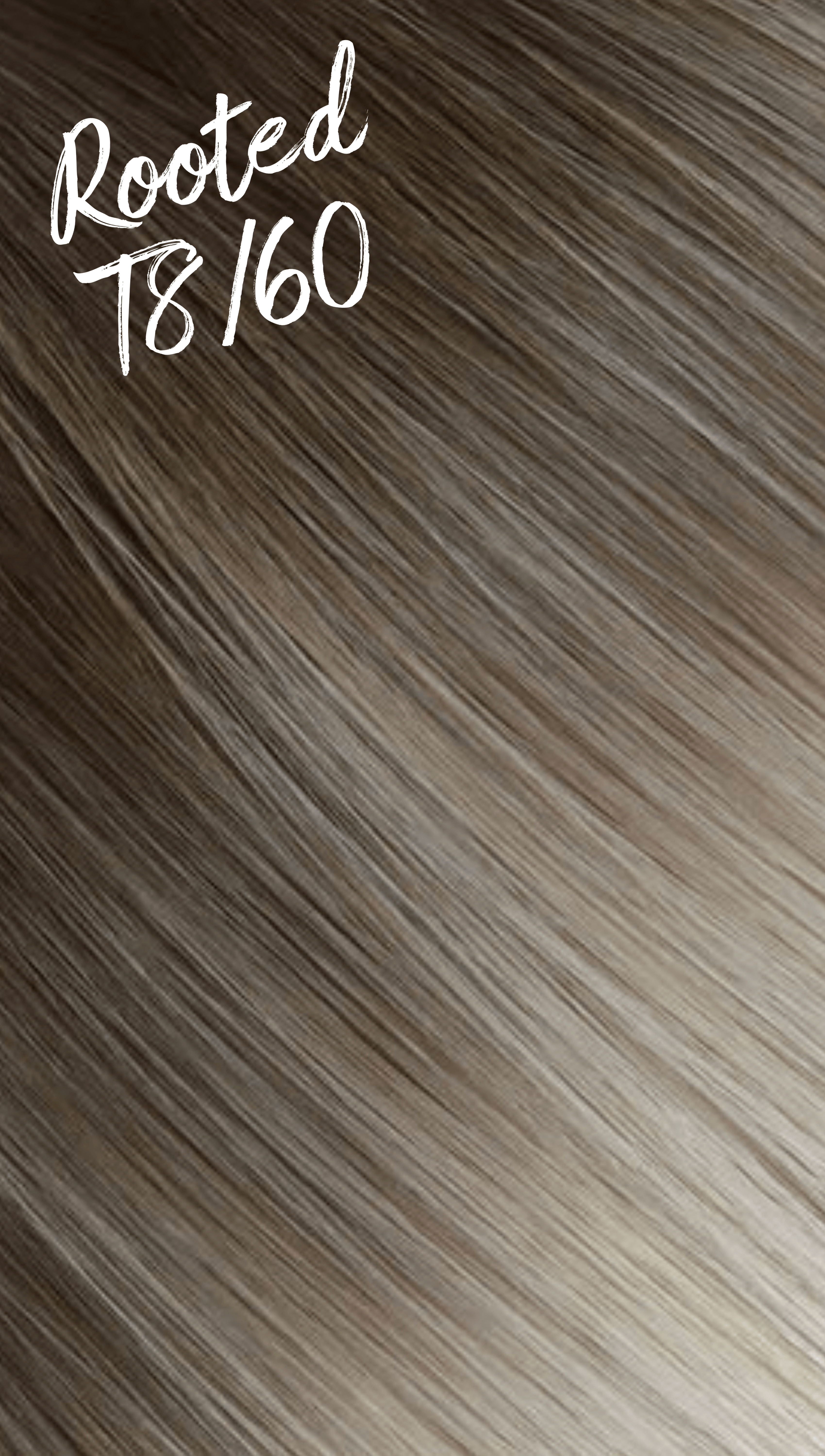 Genius Weft Hair Extensions -  Rooted T8/60